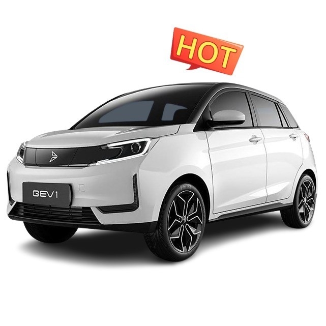 Xinte 2020 Qi Neng GEV 1 Euro VI 305KM 5 portes 4 places avec recharge rapide